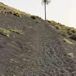 Lejlighed Miramar *