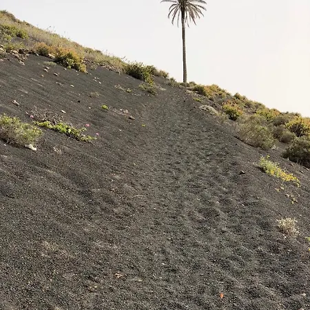 Διαμέρισμα Miramar *