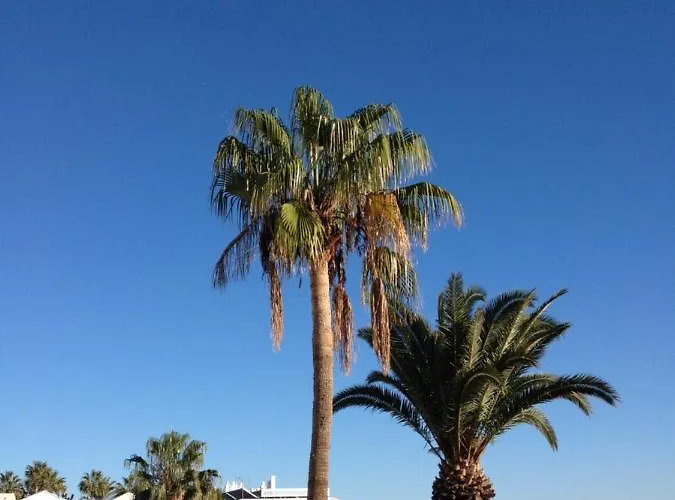 Διαμέρισμα Miramar *