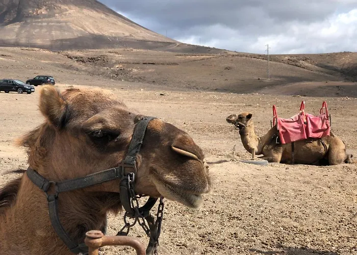 Διαμέρισμα Miramar