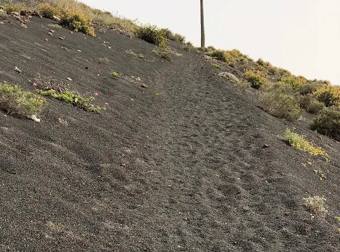 Apartament Miramar *